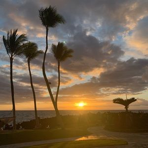 Meet your Posher, Chloe hyun jung